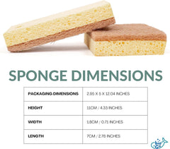 bioGo Compostable Plant Based Dish Sponges