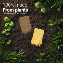 bioGo Compostable Plant Based Dish Sponges