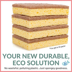 bioGo Compostable Plant Based Dish Sponges